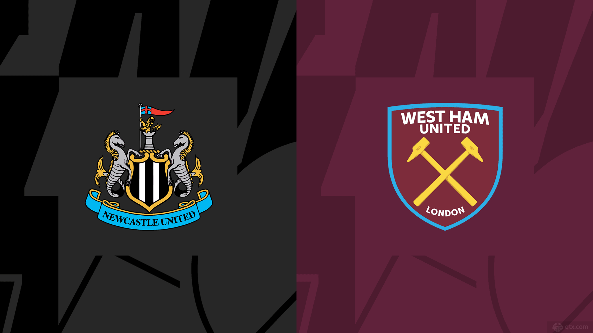 本土最佳球 本土最佳球